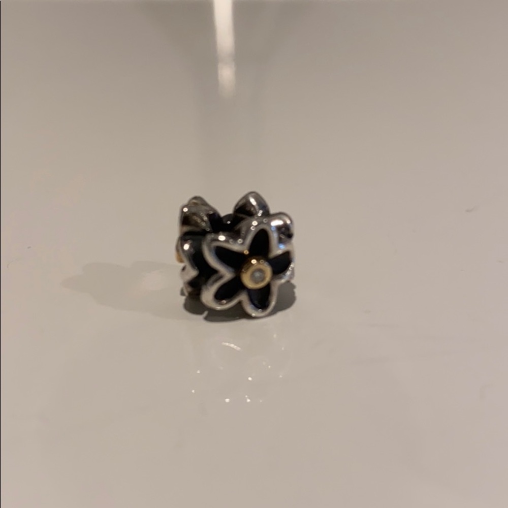 Pandora charm